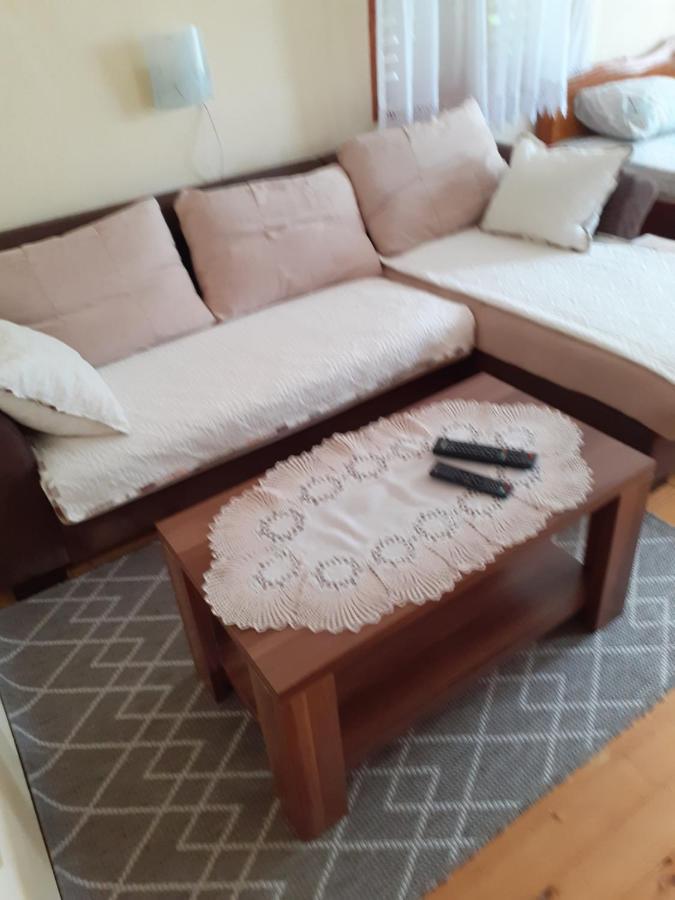 Studio apartman jelena Zaovine Bagian luar foto